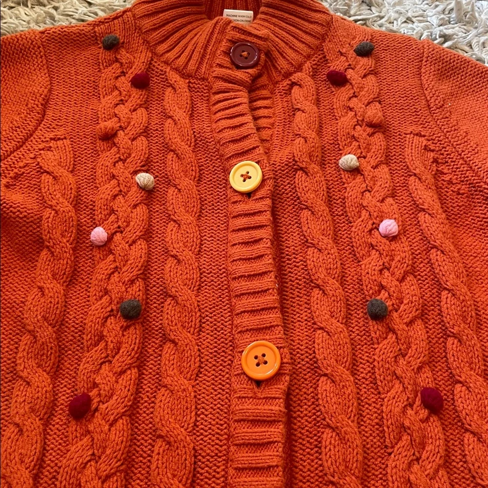 2009 Gymboree “Purrfect Autumn” Jumper & Cardigan Outfit, Size 5